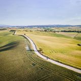 Eine Straße schlängelt sich über die hellgrünen Hügel der Toskana. Ein einsamer Radfahrer ist auf ihr unterwegs
