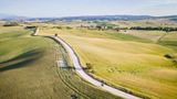 Eine Straße schlängelt sich über die hellgrünen Hügel der Toskana. Ein einsamer Radfahrer ist auf ihr unterwegs