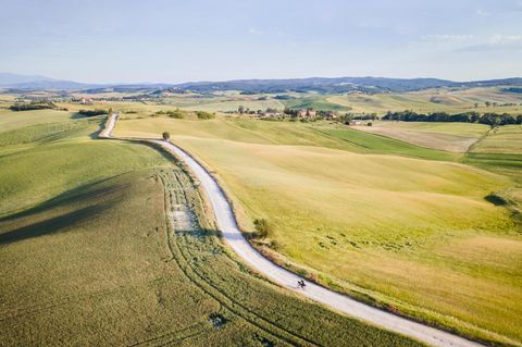 Eine Straße schlängelt sich über die hellgrünen Hügel der Toskana. Ein einsamer Radfahrer ist auf ihr unterwegs