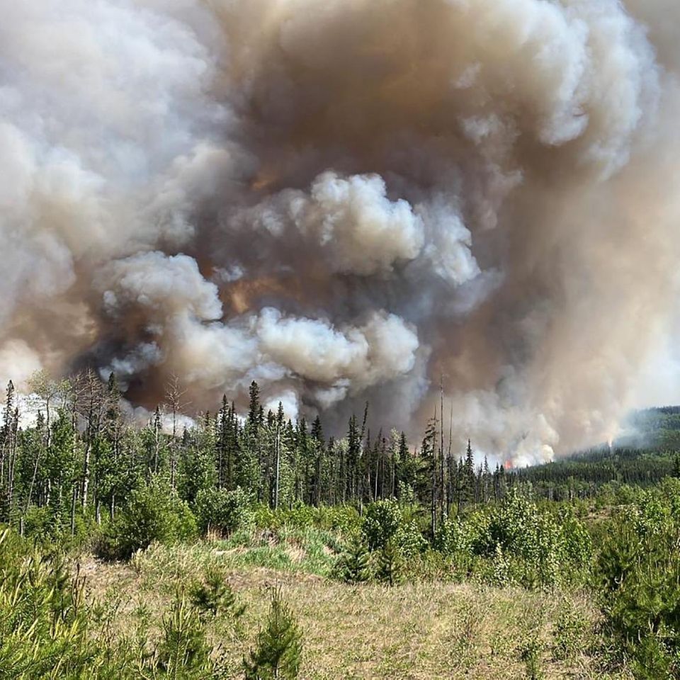 British Colombia, Kanada. Der Rauch mag sich an der US-amerikanischen Ostküste in Städten wie New York City ausbreiten – doch was brennt ist der Wald in Kanada. Durch die Brände wurden dort bereits 3,8 Millionen Hektar Land zerstört, mehr als 20.000 Menschen mussten evakuiert werden. Premierminister Justin Trudeau bezeichnete die diesjährige Waldbrandsaison als die schlimmste des Landes. Die Europäische Union schickt mehrere hundert Feuerwehrleute nach Kanada, um das Land im Kampf gegen die verheerenden Waldbrände zu unterstützen.
