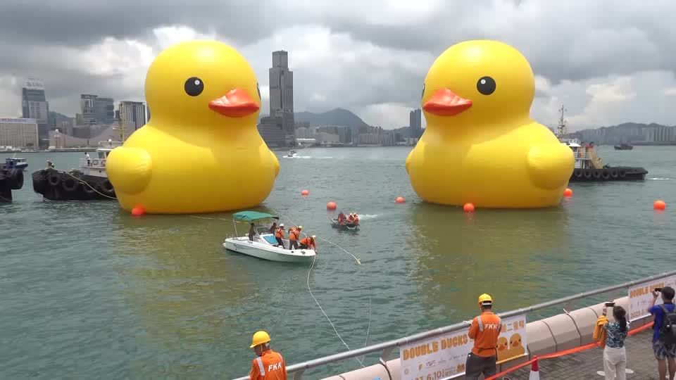 Video: Doppelt hält besser: Gigantische Kunst in Hongkong Video: Doppelt hält besser: Gigantische Kunst in Hongkong