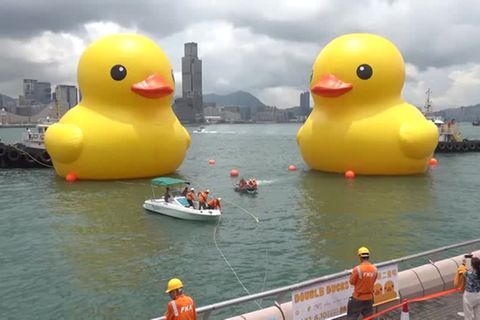 Video: Doppelt hält besser: Gigantische Kunst in Hongkong