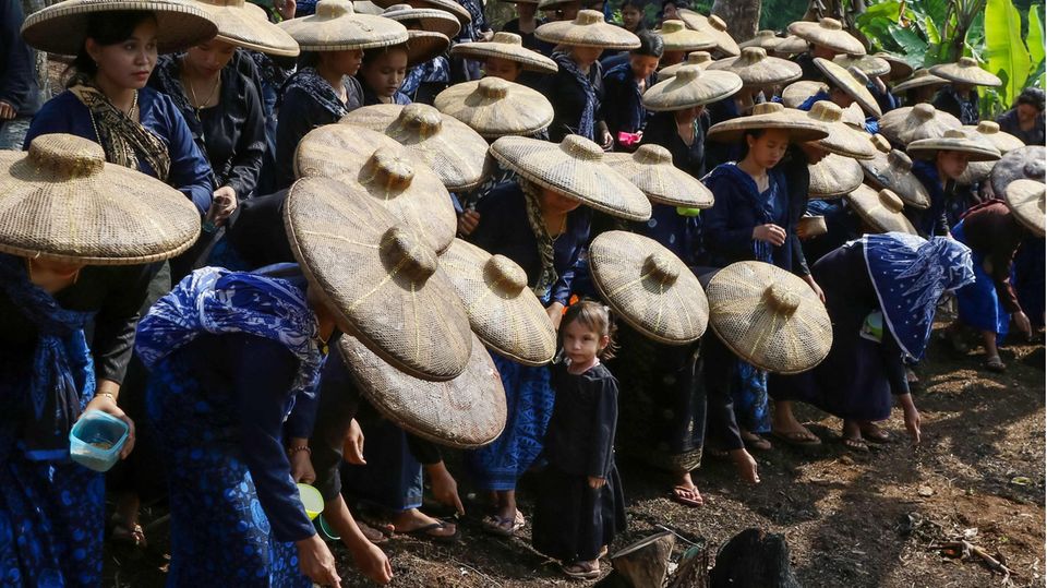 Im UrwaldEine Gruppe Baduy-Frauen steht in blauen langen Kleidern und mit Strohhüten auf den Köpfen im Urwald von Indonesien