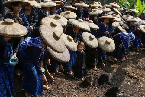 Im UrwaldEine Gruppe Baduy-Frauen steht in blauen langen Kleidern und mit Strohhüten auf den Köpfen im Urwald von Indonesien