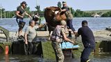 Die Menschen kämpfen nicht nur um ihr eigenes Überleben, sondern auch um das ihrer Tiere: Hier helfen ukrainische Soldaten Einwohnern des überfluteten Dorfes Afanasiivka in der Region Mykolajiw beim Transport einer Kuh