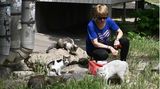 Auch Katzen haben Hunger: Diese Frau versorgt eine Gruppe von Streunern mit Futter