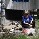 Auch Katzen haben Hunger: Diese Frau versorgt eine Gruppe von Streunern mit Futter