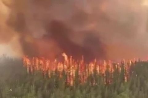 Video: Heftige Waldbrände auch an der kanadischen Westküste