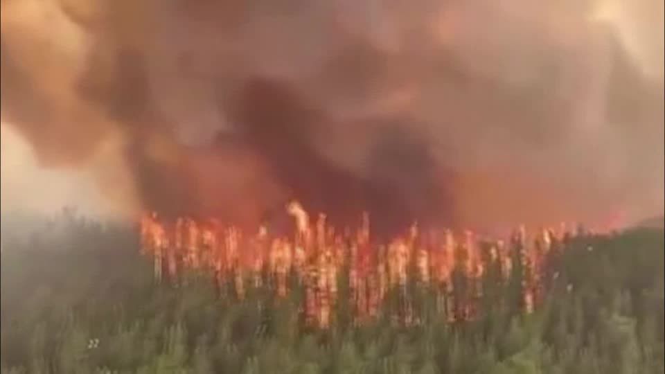 Video: Heftige Waldbrände auch an der kanadischen Westküste