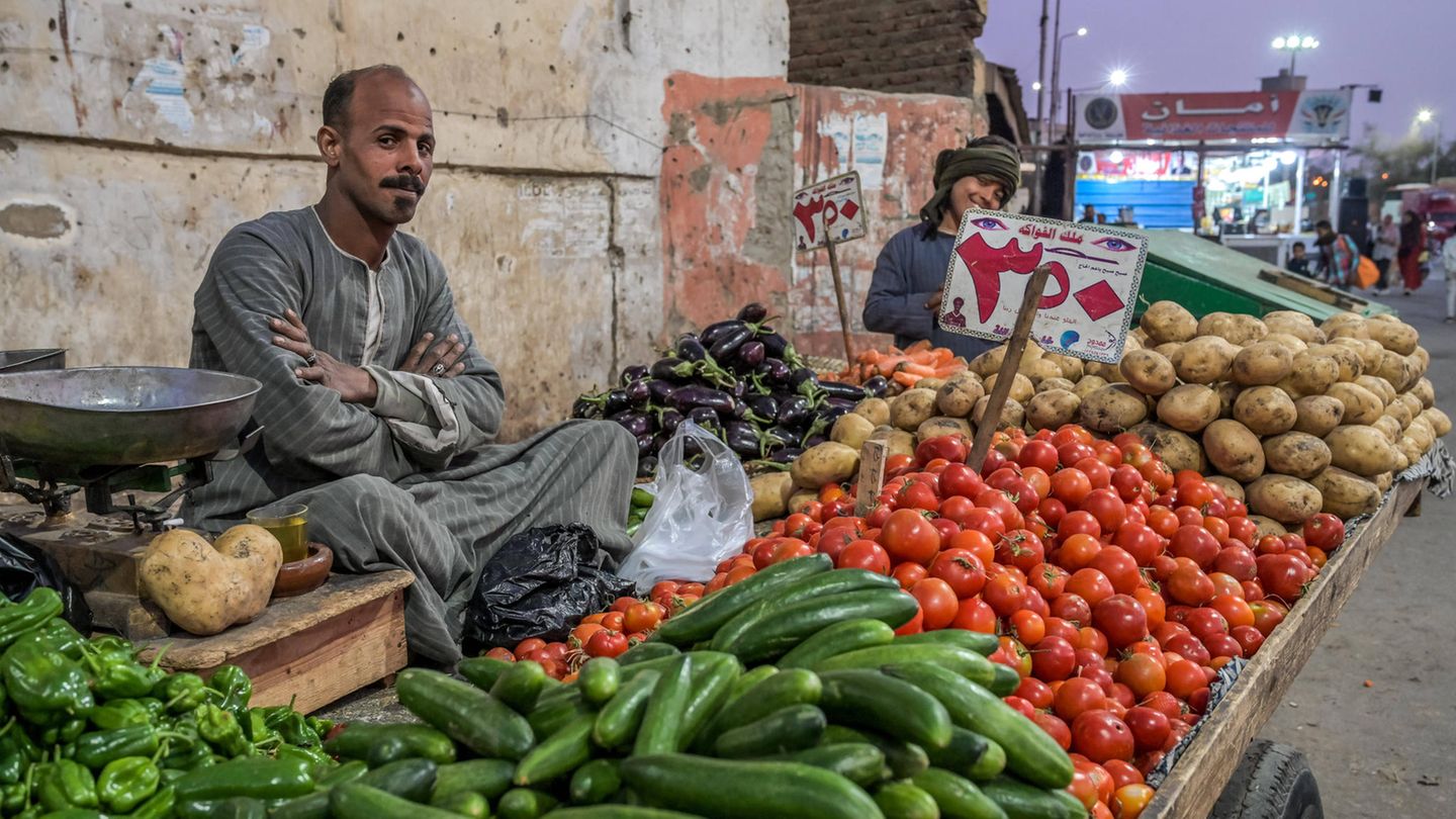 Mann sitzt hinter einem Gemüsestand in Ägypten Mann sitzt hinter einem Gemüsestand in Ägypten