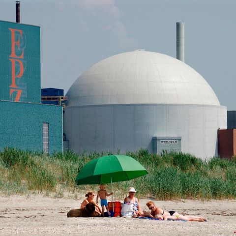 Drei Frauen mit Kindern und einem Hund liegen am Strand vor dem Atomkraftwerk Borssele