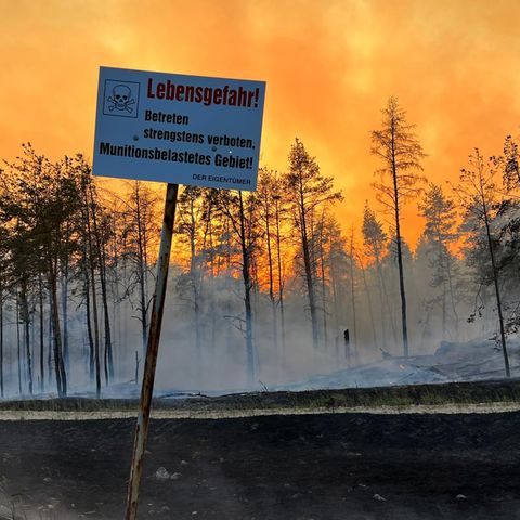 Waldbrand Mecklenburg Vorpommern