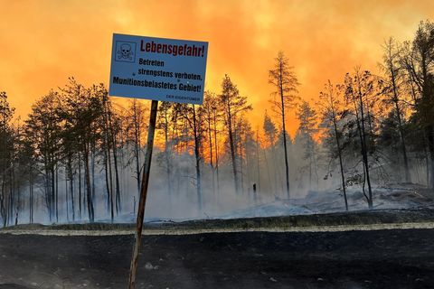 Waldbrand Mecklenburg Vorpommern