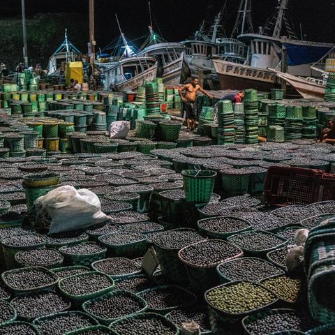 Tonnen voller schwarzer Beeren im Hintergrund die Schiffe am Hafen in der Nacht