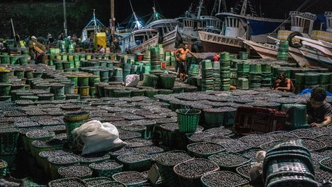 Tonnen voller schwarzer Beeren im Hintergrund die Schiffe am Hafen in der Nacht