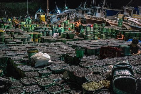 Tonnen voller schwarzer Beeren im Hintergrund die Schiffe am Hafen in der Nacht