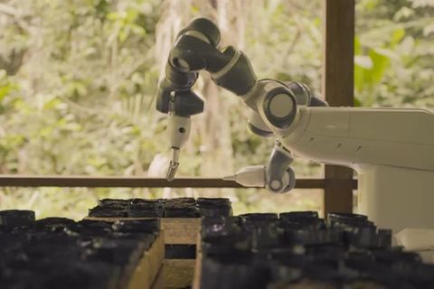 Video: Amazonas-Gebiet: Im Robo-Takt gegen die Erderwärmung