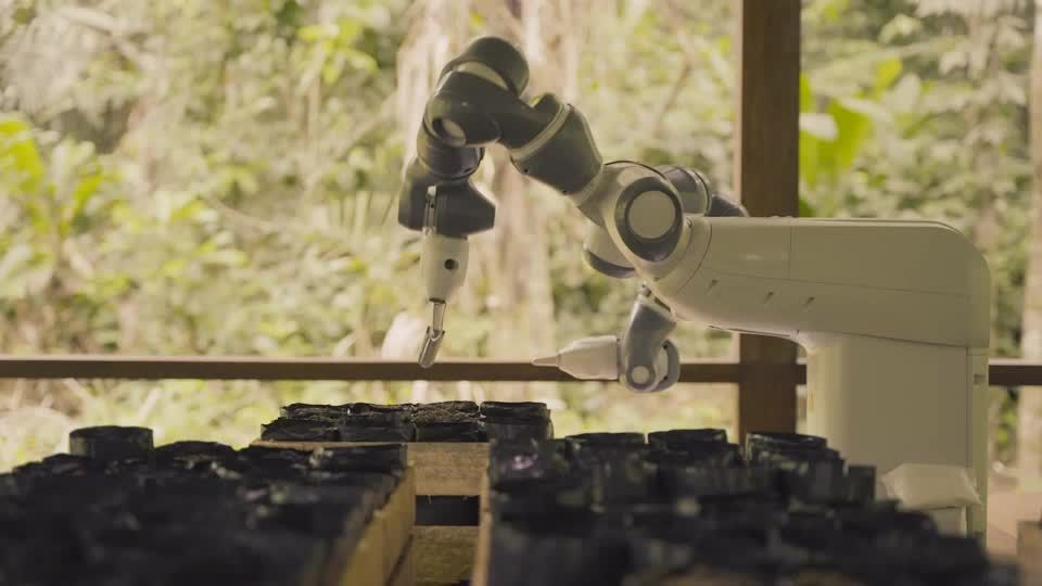 Video: Amazonas-Gebiet: Im Robo-Takt gegen die Erderwärmung Video: Amazonas-Gebiet: Im Robo-Takt gegen die Erderwärmung