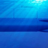 Schwimmende Stadt Dogen City