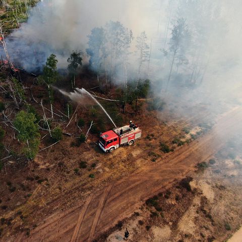 Feuerwehrleute in Brandenburg bekämpfen den Waldbrand bei Jüterbog