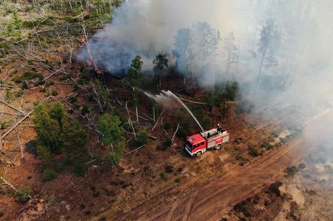 Feuerwehrleute in Brandenburg bekämpfen den Waldbrand bei Jüterbog