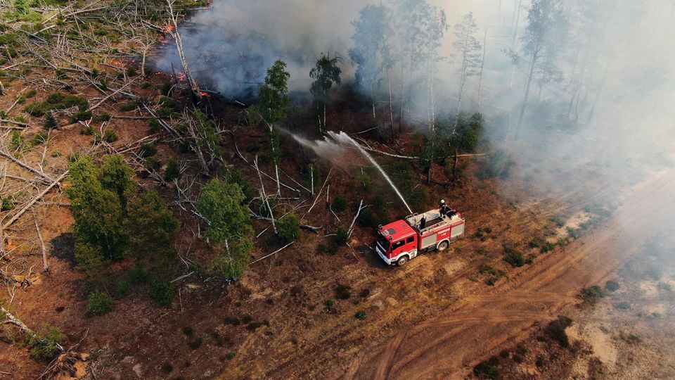Feuerwehrleute in Brandenburg bekämpfen den Waldbrand bei Jüterbog