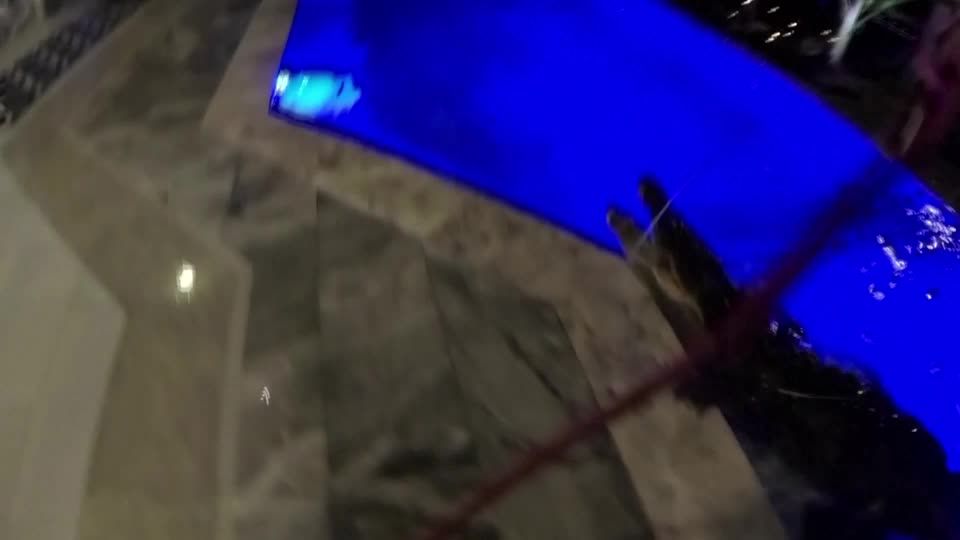 Florida: Drei-Meter-Alligator verirrt sich in Swimming-Pool Florida: Drei-Meter-Alligator verirrt sich in Swimming-Pool