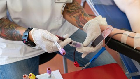 Eine Mitarbeiterin des DRK Blutspendedienstes entnimmt Blutprobe für die Laboruntersuchung