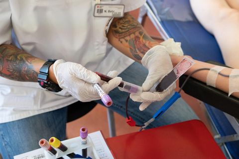 Weltblutspendetag: Eine Mitarbeiterin des DRK-Blutspendedienstes entnimmt eine Blutprobe