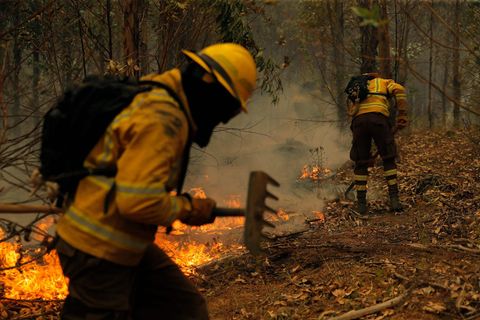 Anfang Februar wüten in Chile hunderte Waldbrände, die mehr als 5600 Feuerwehrleute in Atem halten – darunter auch aus Spanien eingeflogene Spezialkräfte. Dutzende Menschen kommen ums Leben, tausende werden obdachlos.
