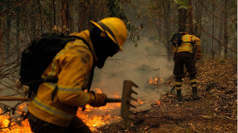 Anfang Februar wüten in Chile hunderte Waldbrände, die mehr als 5600 Feuerwehrleute in Atem halten – darunter auch aus Spanien eingeflogene Spezialkräfte. Dutzende Menschen kommen ums Leben, tausende werden obdachlos.