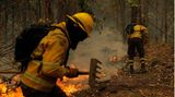 Anfang Februar wüten in Chile hunderte Waldbrände, die mehr als 5600 Feuerwehrleute in Atem halten – darunter auch aus Spanien eingeflogene Spezialkräfte. Dutzende Menschen kommen ums Leben, tausende werden obdachlos.