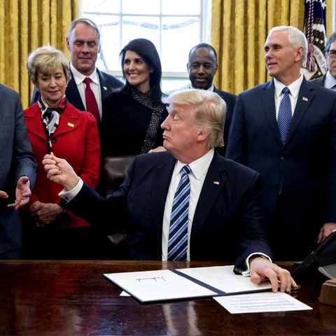 Trump Pence Haley
