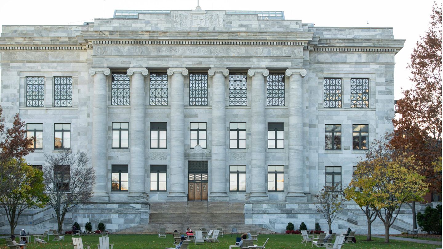 Harvard Medical School