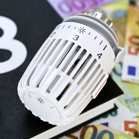 Gibt es Unterstützung vom Staat, wenn Sie sich eine Sanierung nicht leisten können?