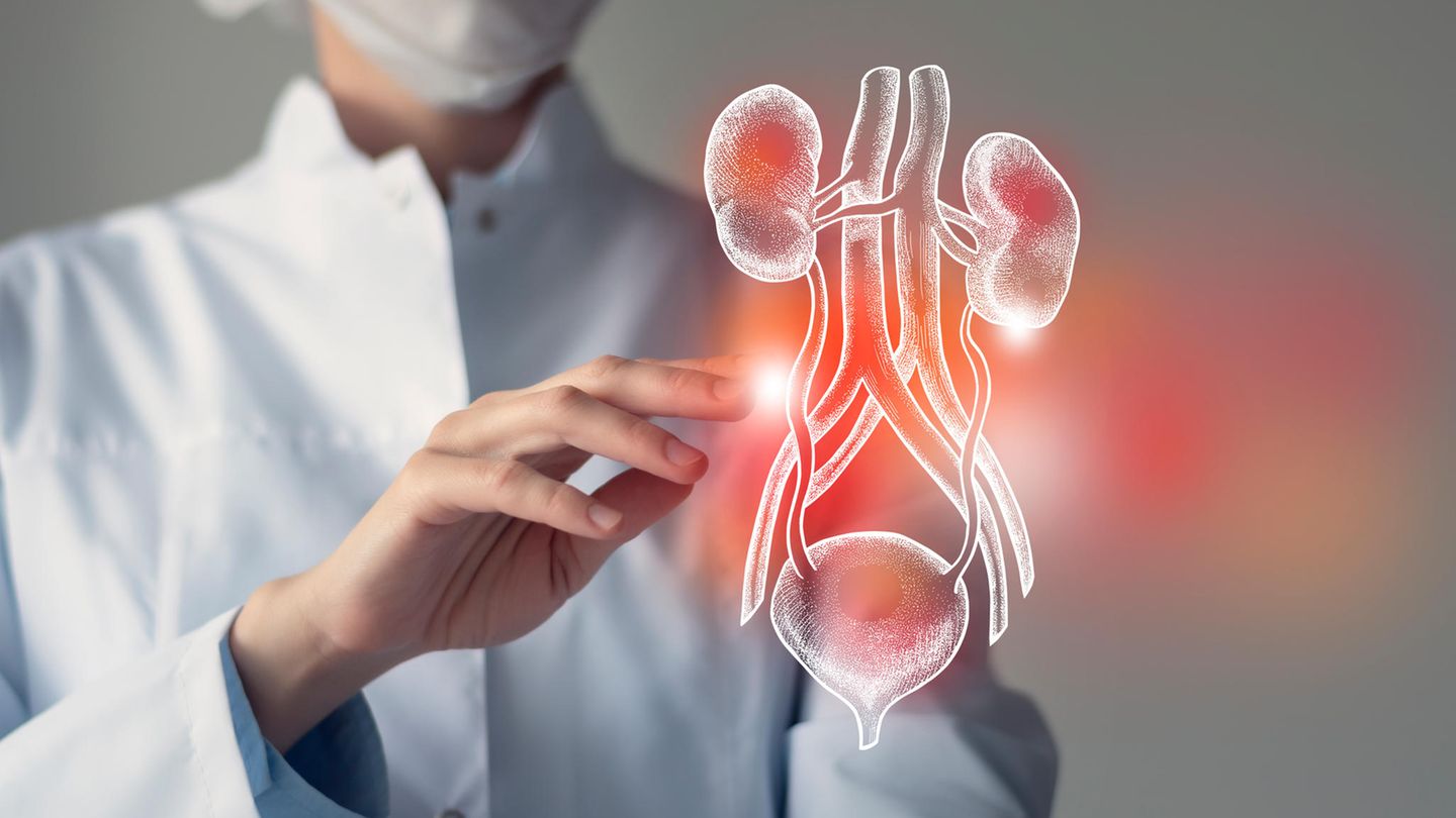Hernienchirurgie: Das sind die ausgezeichneten Kliniken