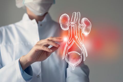 Hernienchirurgie: Das sind die ausgezeichneten Kliniken