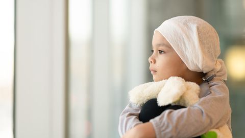 Leukämie: Das sind die ausgezeichneten Kliniken
