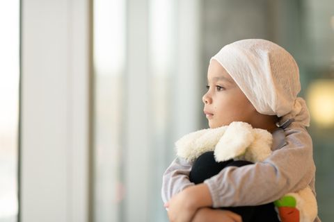 Leukämie: Das sind die ausgezeichneten Kliniken