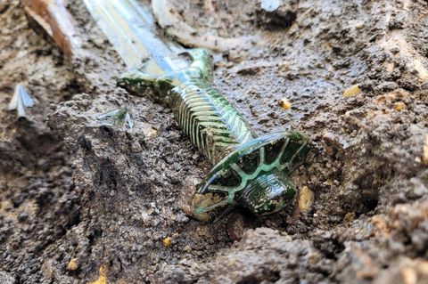 Das in Nördlingen entdeckte 3000 Jahre alte Schwert auf dem Erdboden liegend