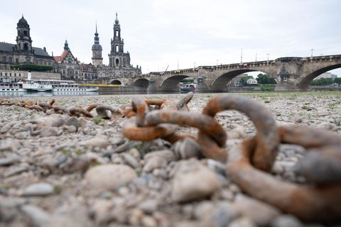 Trockenheit und Dürre: Eine Kette liegt im ausgetrockneten Flussbett am Ufer der Elbe vor der Kulisse der Dresdner Altstadt
