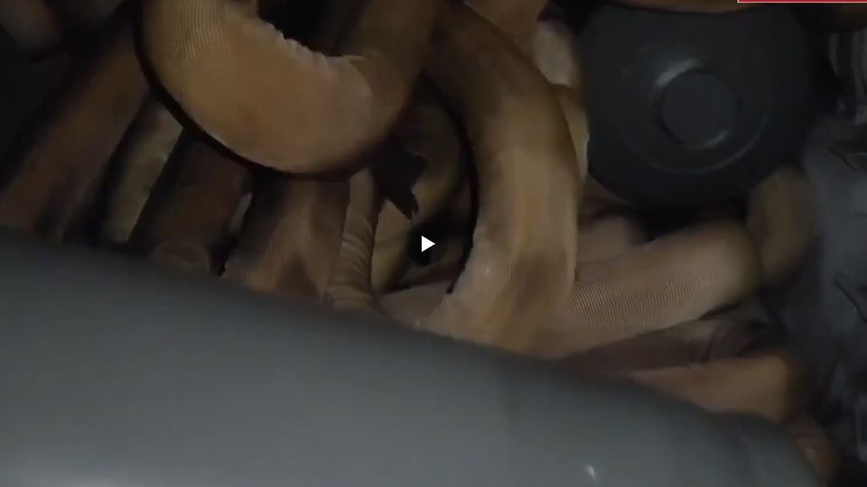 Die Russen zeigen die Sprenglandungen an Bord des umgebauten Transporters.