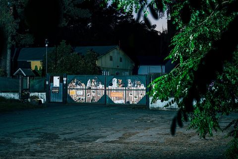 Tor der Tierschutzliga mit aufgemalten Hunden