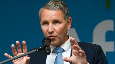 Björn Höcke gilt als heimlicher Chef der rechtsextremen Partei