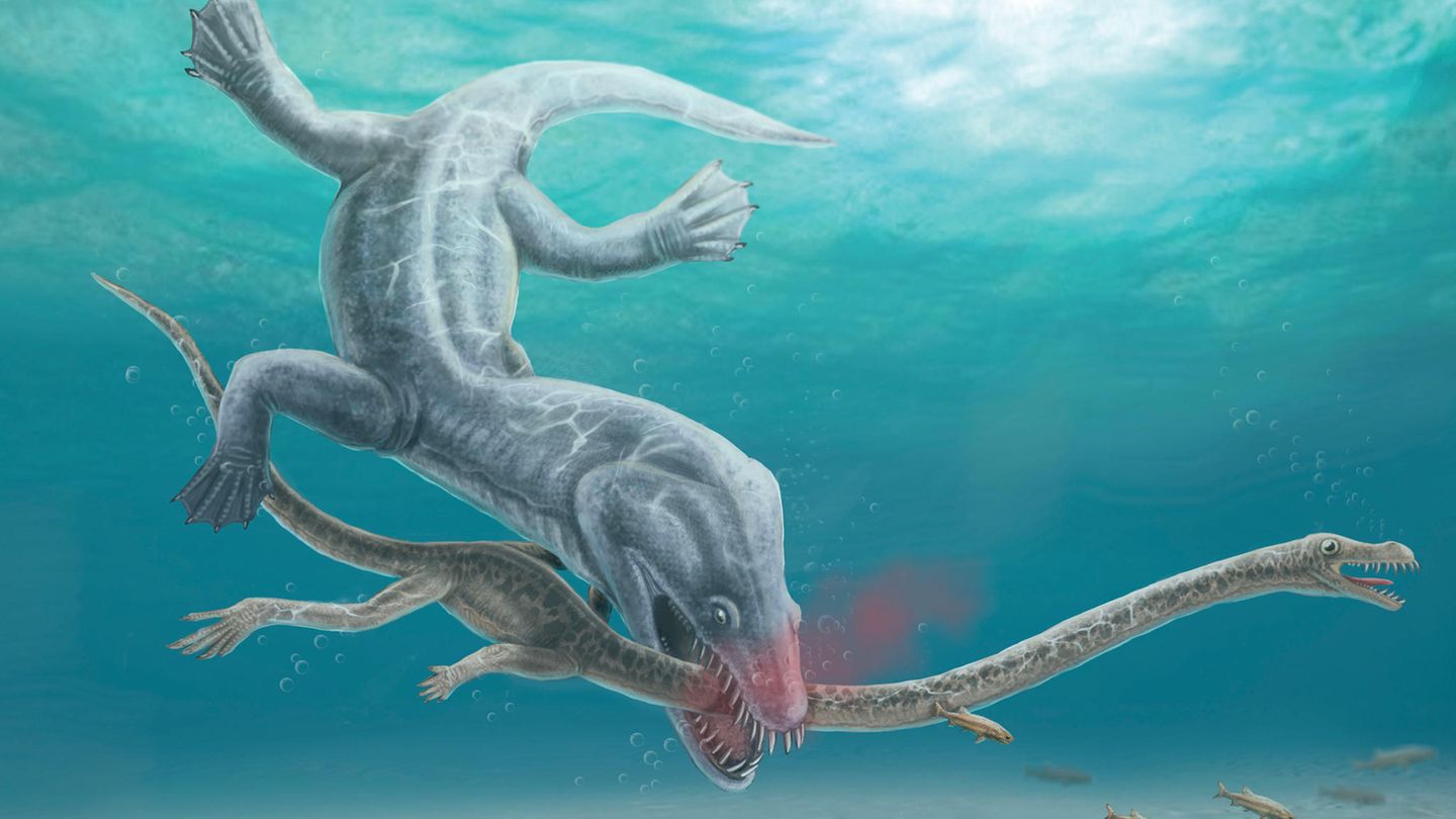 Meeressaurier beim Angriff