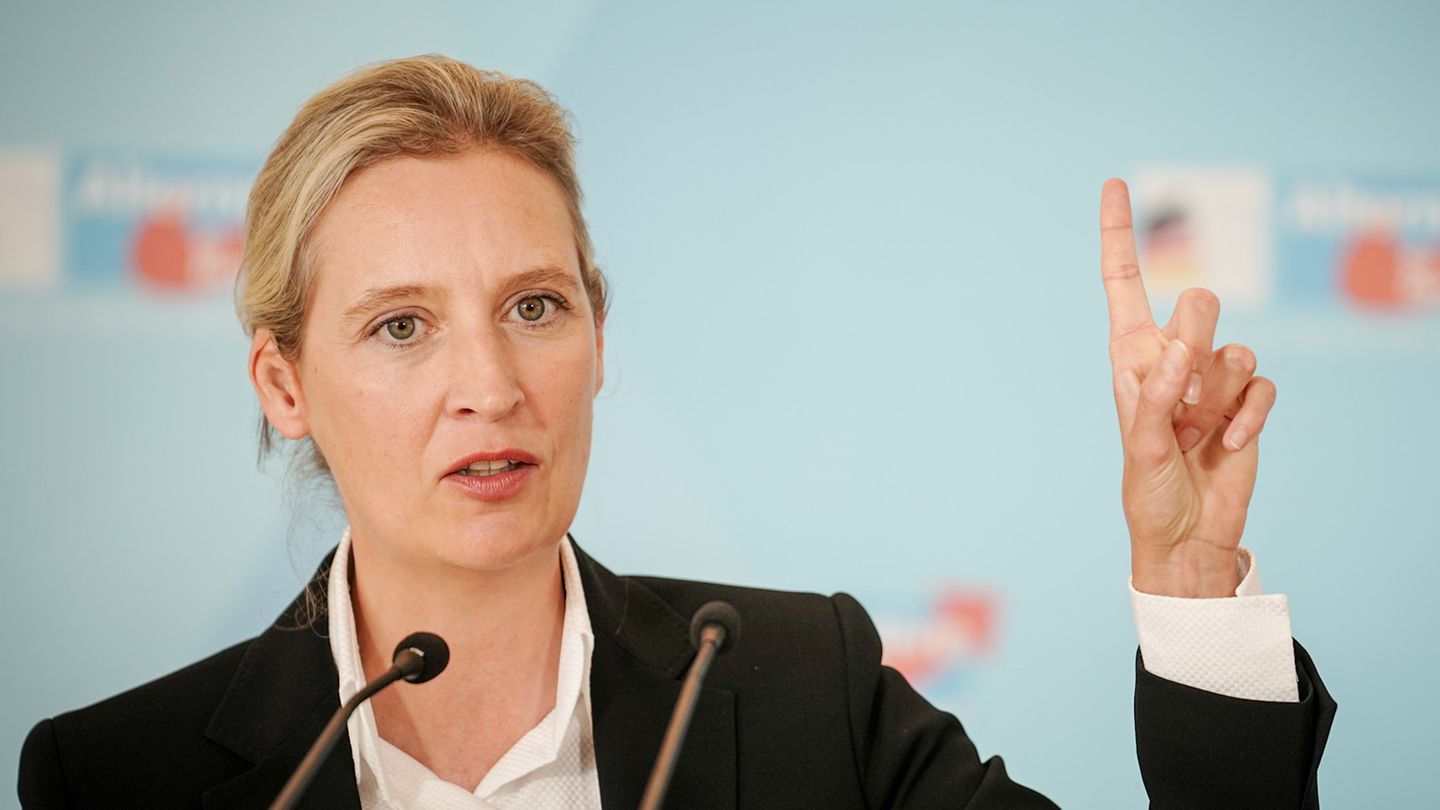 Alice Weidel von der AfD hebt den Finger