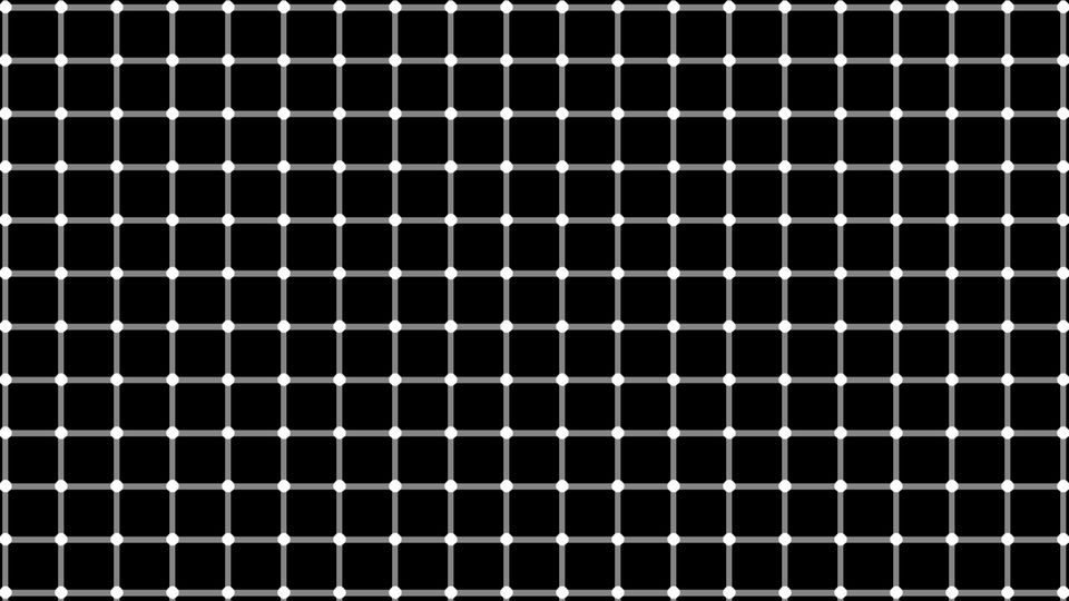 Optische Täuschung: Flackerndes Gitter stellt Wissenschaft vor Rätsel Optische Täuschung: Flackerndes Gitter stellt Wissenschaft vor Rätsel