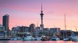 Der Hafen in Auckland