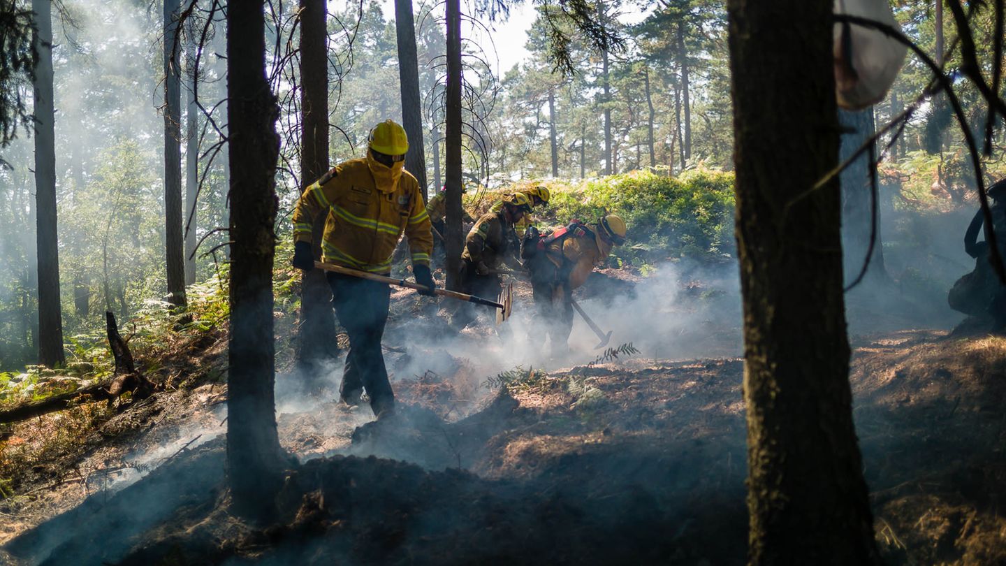 Waldbrand: @fire im Einsatz – hier im vergangenen Jahr in der Sächsischen Schweiz