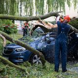 Feuerwehrleute räumen Äste eines umgestürzten Baumes von einem geparkten Auto